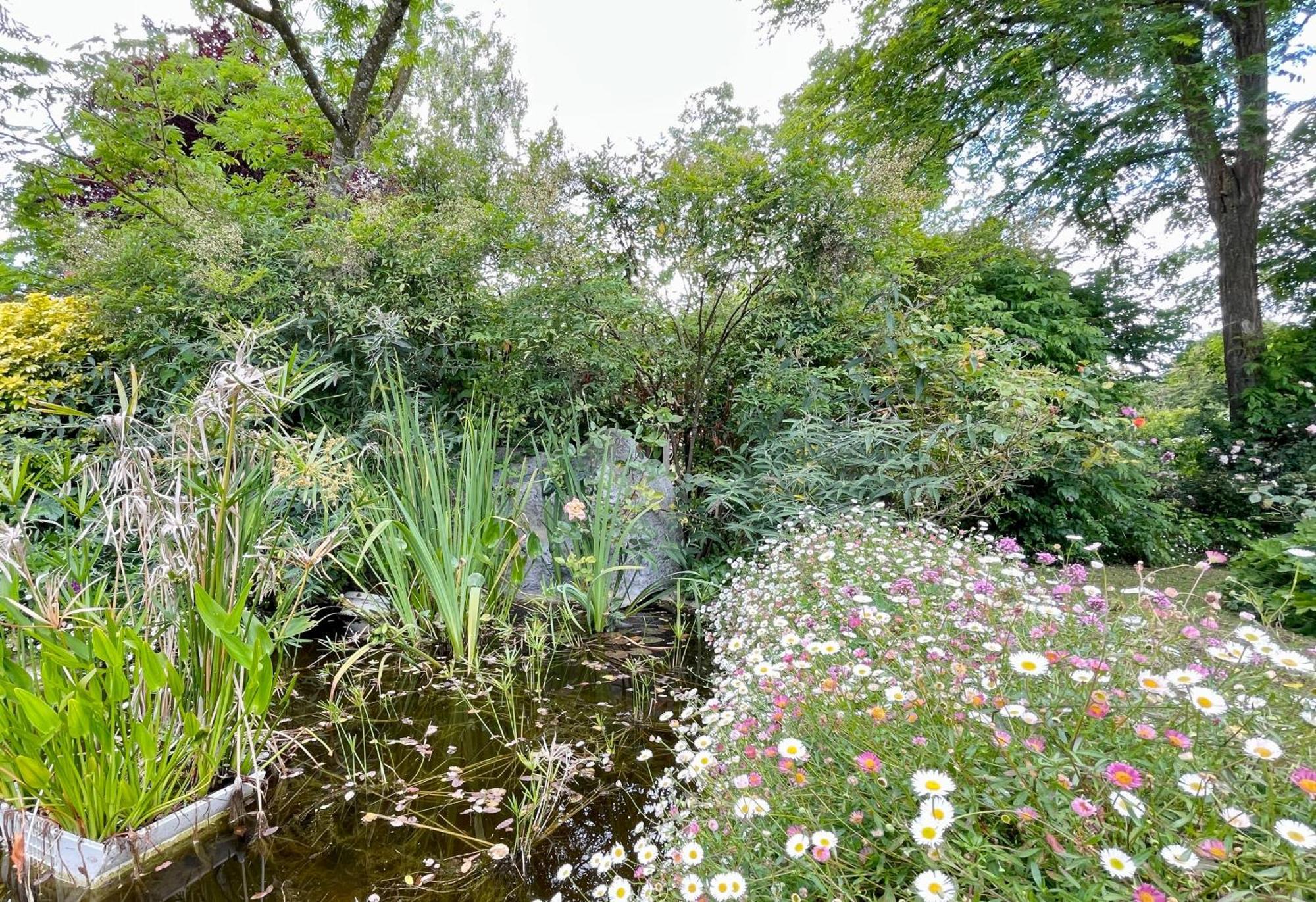 Chambre De Charme Dans Un Jardin De 1500M2 Nueil-sur-Layon Esterno foto